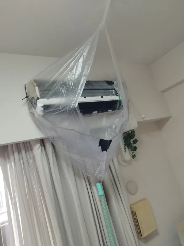 レビュー画像