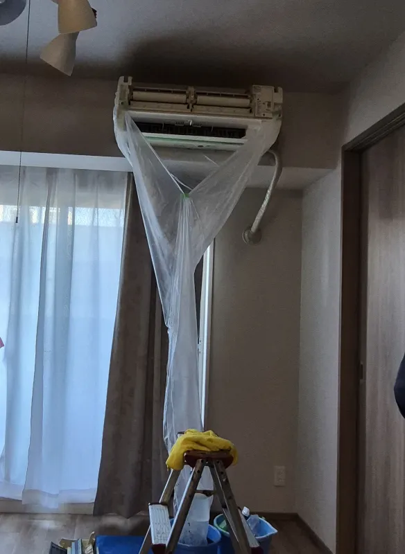 レビュー画像
