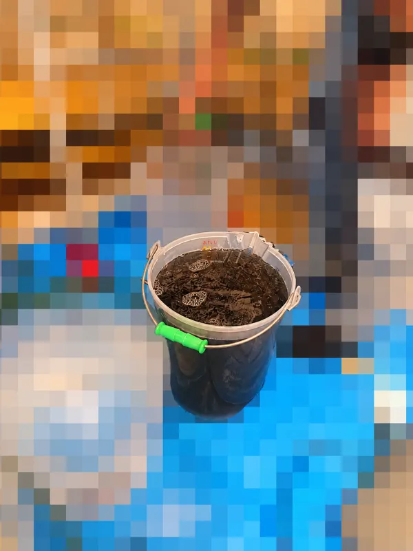 口コミ投稿写真