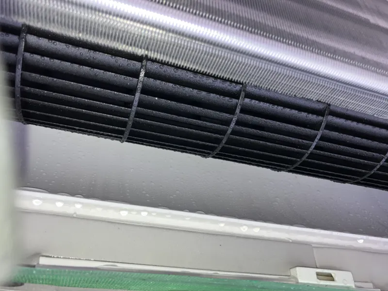 口コミ投稿写真
