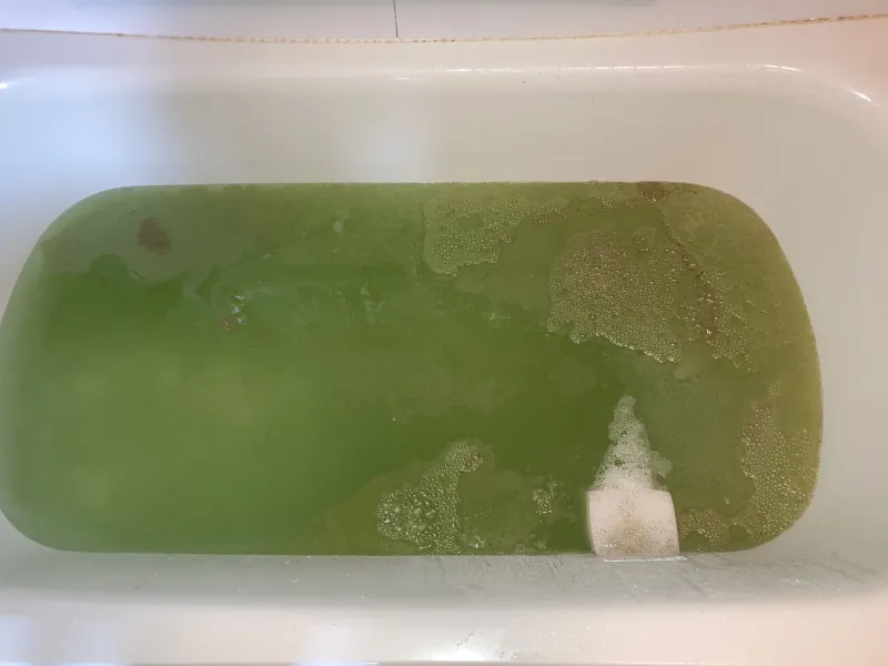 口コミ投稿写真